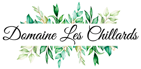 Logo de l'entreprise DOMAINE LES CHILLARDS